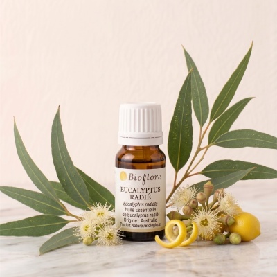 he-eucalyptus-radie