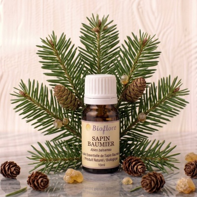 he-sapin-baumier