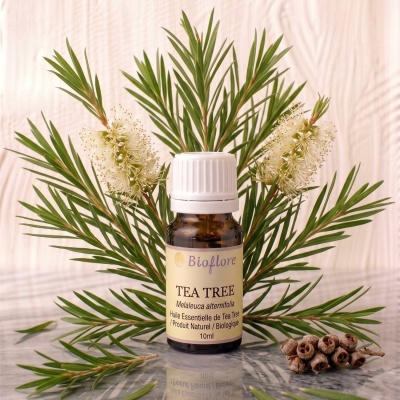 he-tea-tree