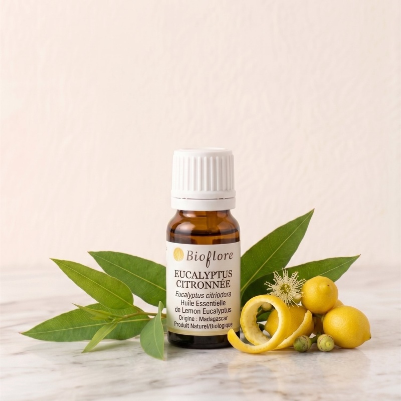 he-eucalyptus-citronne