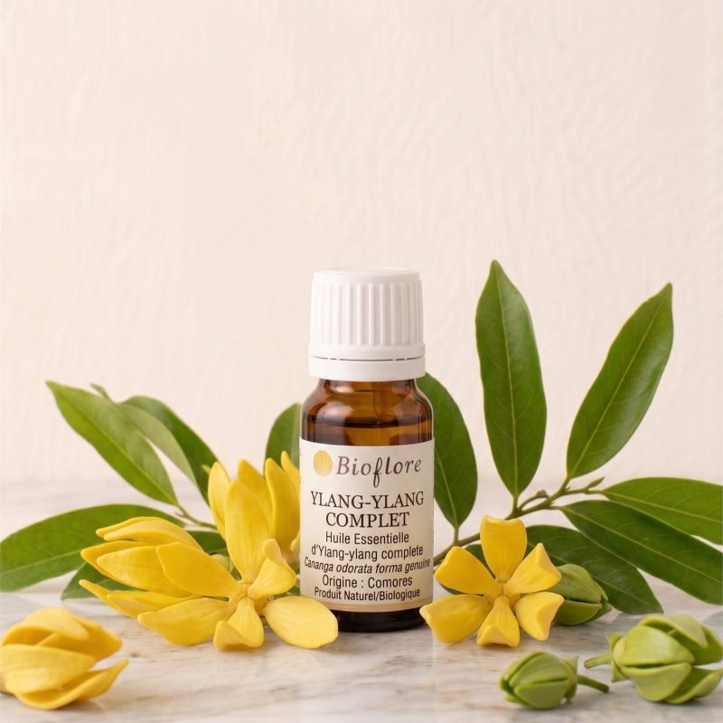 he-ylang-ylang-complete